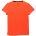 Puma Finisher