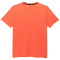 Puma Finisher