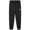Puma Active Sports Graphic Poly Jungen Hose