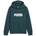 Puma Ess+ 2 Col Big Logo FL B Jungen Sweatshirt