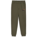 Puma Ess+ 2 Col Logo FL Cl B Jungen Hose