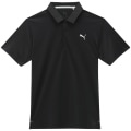 Puma Icon 2.0 - LC Herren Poloshirt
