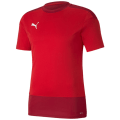 Puma TeamGOAL 23 Training Herren Trikot