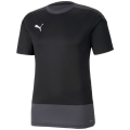 Puma TeamGOAL 23 Training Herren Trikot