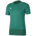 Puma TeamGOAL 23 Training Herren Trikot