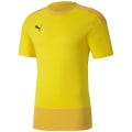 Puma TeamGOAL 23 Training Herren Trikot