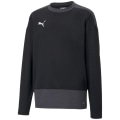 Puma TeamGOAL 23 Training Sweat Kinder Trikot
