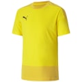 Puma TeamGOAL 23 Training Kinder Trikot