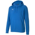 Puma TeamGOAL 23 Causals Herren Kapuzensweater