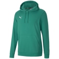 Puma TeamGOAL 23 Causals Herren Kapuzensweater