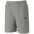 Puma TeamGOAL 23 Casuals Kinder Shorts