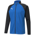 Puma TeamLIGA Training Herren Blouson