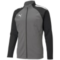 Puma TeamLIGA Training Herren Blouson