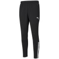 Puma TeamLIGA Training Herren Sporthose