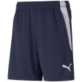 Puma TeamLIGA Training Kinder Shorts