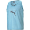 Puma Bib Herren T-Shirt