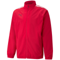 Puma TeamLIGA Sideline Herren Blouson