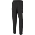 Puma TeamLIGA Sideline Herren Sporthose