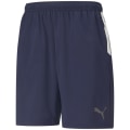 Puma TeamLIGA Sideline Herren Shorts