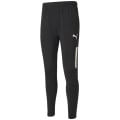 Puma TeamLIGA Training Pro Herren Sporthose