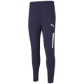 Puma TeamLIGA Training Pro Herren Sporthose