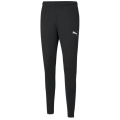 Puma TeamRISE Poly Training Herren Sporthose