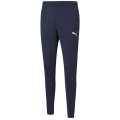 Puma TeamRISE Poly Training Herren Sporthose