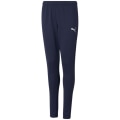 Puma TeamRISE Poly Training Jungen Sporthose