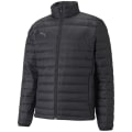 Puma TeamLIGA Light Herren Blouson