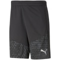Puma TeamCUP Training Herren Shorts