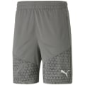 Puma TeamCUP Training Herren Shorts