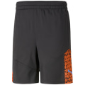 Puma IndividualCUP Training Herren Shorts