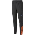 Puma IndividualCUP Training Herren Trainingshose