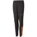 Puma IndividualCUP Training Junior Kinder Trainingshose