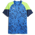 Puma IndividualCUP Herren Trikot