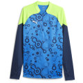 Puma IndividualCUP 1/4 Zip Top Herren Sweatshirt