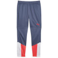 Puma individualCUP Training
