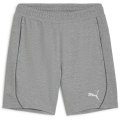 Puma teamFINAL Casuals Herren Shorts