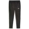 Puma teamFINAL Warm Herren Trainingshose