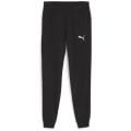 Puma teamGOAL Casuals Herren Trainingshose