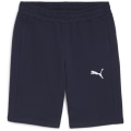 Puma teamGOAL Casuals Herren Shorts