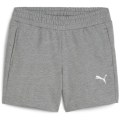 Puma teamGOAL Casuals Damen Shorts