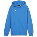 Puma teamGOAL Casuals Junior Jungen Pullover