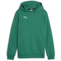 Puma teamGOAL Casuals Junior Jungen Pullover