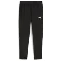 Puma teamGOAL Sideline Herren Sporthose