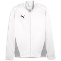 Puma teamGOAL Training Herren Fußballjacke