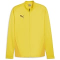 Puma teamGOAL Training Herren Fußballjacke