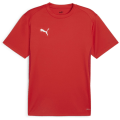 Puma teamGOAL Herren T-Shirt