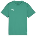 Puma teamGOAL Junior Jungen T-Shirt