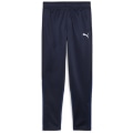 Puma teamGOAL Training Junior Jungen Sporthose